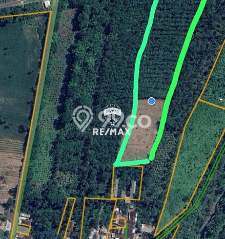 Dijual Tanah Lokasi Kali Baru, Banyuwangi Seluas 28000m2 Dijual Tanah Lokasi Kali Baru, Banyuwangi Seluas 28000m2