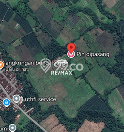 Tanah Dijual Lokasi Glagah, Banyuwangi Luas 5000m2 Legalitas Aman Tanah Dijual Lokasi Glagah, Banyuwangi Luas 5000m2 Legalitas Aman