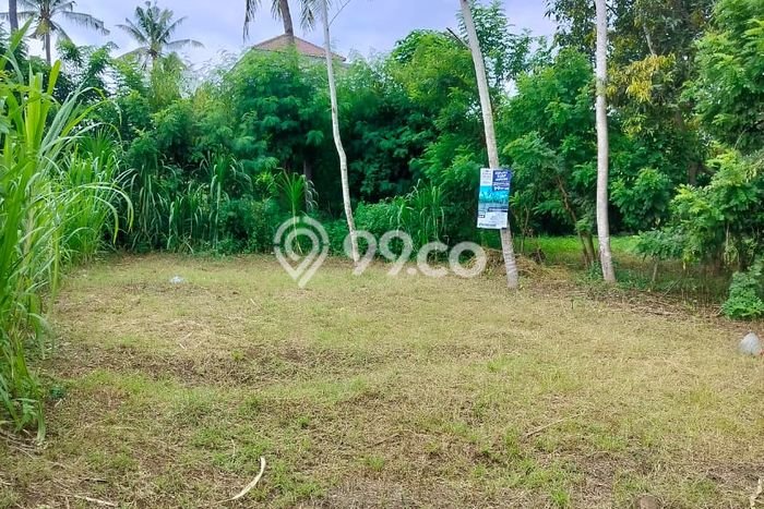 Kavling Tanah di Kalipuro Dijual Luas 176m2 Legalitas SHM Kavling Tanah di Kalipuro Dijual Luas 176m2 Legalitas SHM