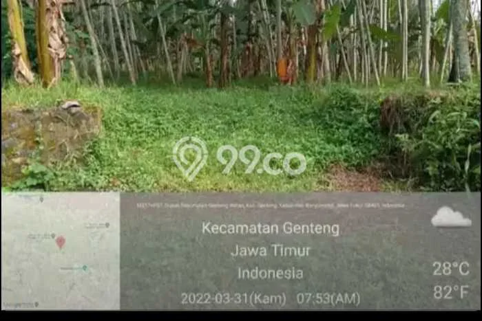 Lahan Kosong Dijual di Genteng, Banyuwangi, Luas 2171m2 Area Strategis Lahan Kosong Dijual di Genteng, Banyuwangi, Luas 2171m2 Area Strategis
