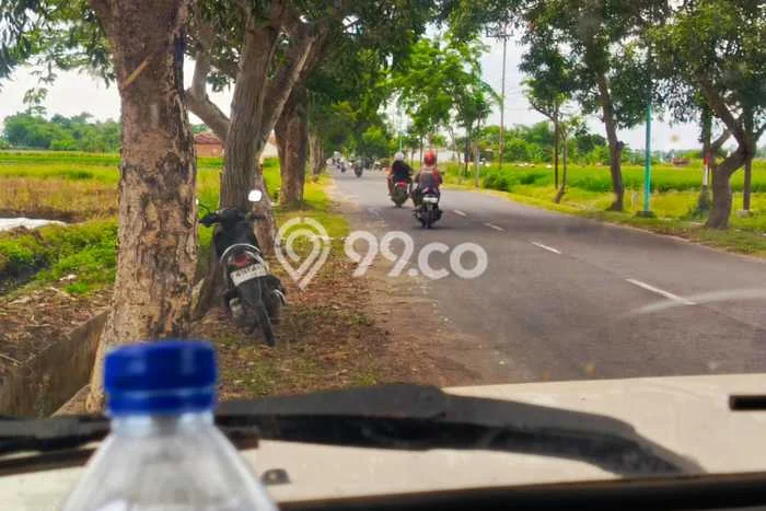 Tanah untuk Dijual di Blimbingsari Banyuwangi Luas 2810m2 Tanah untuk Dijual di Blimbingsari Banyuwangi Luas 2810m2