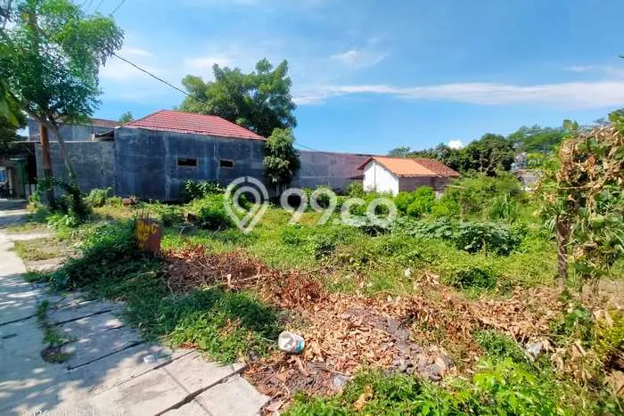 Tanah Kosong Dijual di Banyuwangi dengan Area 800m2 Tanah Kosong Dijual di Banyuwangi dengan Area 800m2
