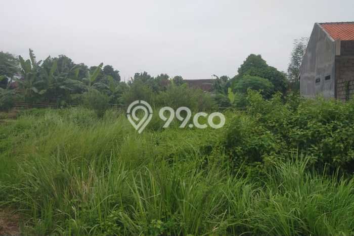 Kavling Tanah di Banyuwangi Dijual Luas 147m2 Legalitas SHM Kavling Tanah di Banyuwangi Dijual Luas 147m2 Legalitas SHM