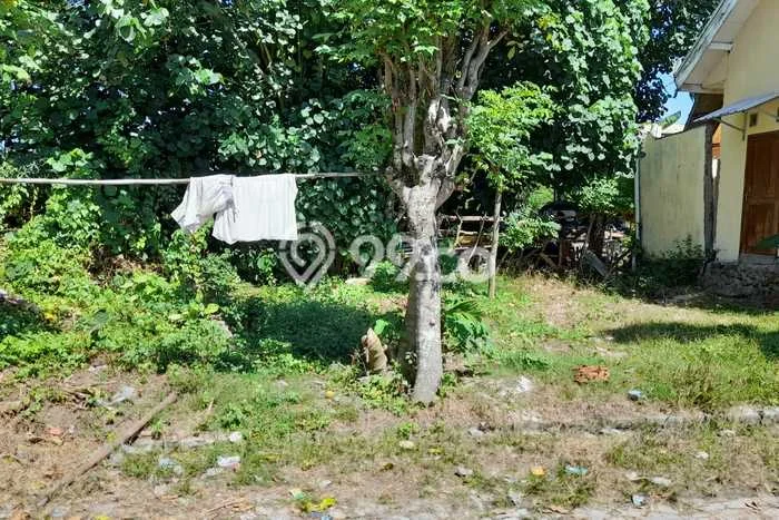 Kavling Tanah di Banyuwangi Dijual Luas 122m2 Legalitas SHM Kavling Tanah di Banyuwangi Dijual Luas 122m2 Legalitas SHM