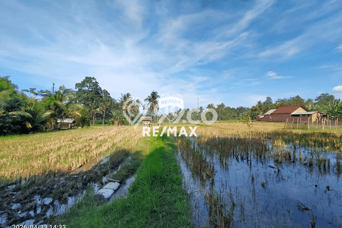 Tanah Kavling untuk Dijual di Glagah Banyuwangi 900m2 Tanah Kavling untuk Dijual di Glagah Banyuwangi 900m2