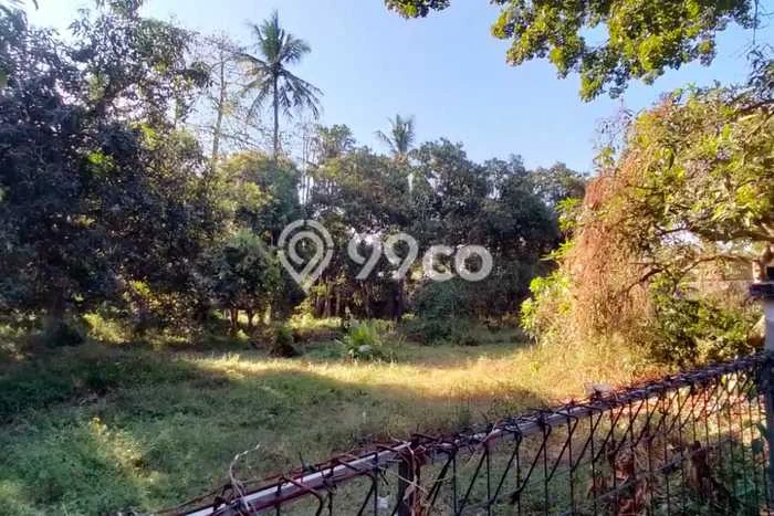 Lahan untuk Dijual di Kalipuro Banyuwangi Luas 19975m2 Lahan untuk Dijual di Kalipuro Banyuwangi Luas 19975m2