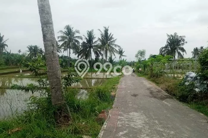 Kavling Tanah Dijual di Glagah, Banyuwangi, Luas 400m2 Area Strategis Kavling Tanah Dijual di Glagah, Banyuwangi, Luas 400m2 Area Strategis