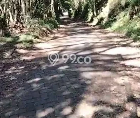 Lahan untuk Dijual di Giri Banyuwangi Luas 1300m2 Lahan untuk Dijual di Giri Banyuwangi Luas 1300m2