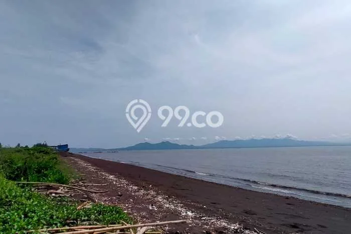 Tanah di Blimbingsari, Banyuwangi Luas 60000m2 Dijual Segera Tanah di Blimbingsari, Banyuwangi Luas 60000m2 Dijual Segera