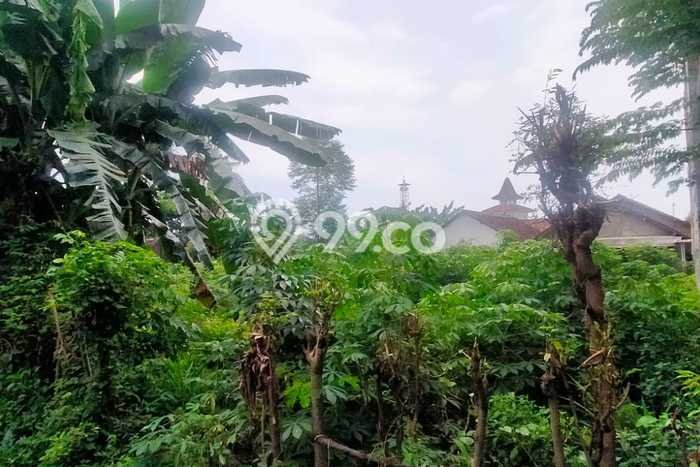 Lahan Kosong Dijual di Banyuwangi dengan Area 540m2 Lahan Kosong Dijual di Banyuwangi dengan Area 540m2