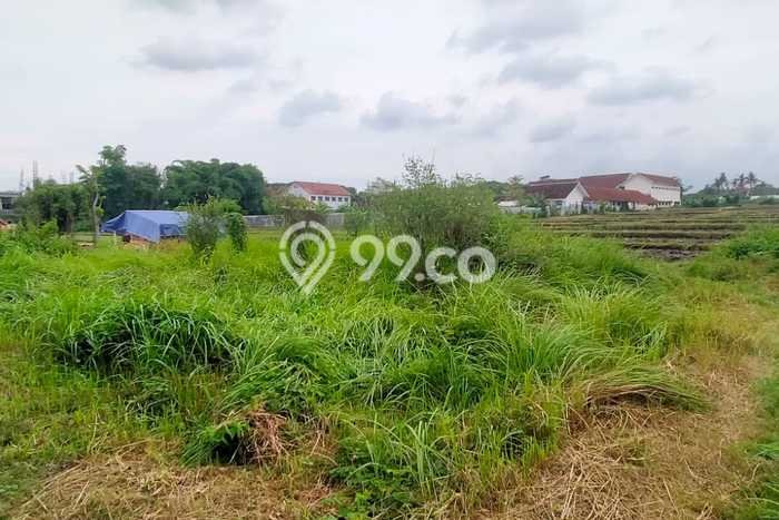 Kavling Tanah di Banyuwangi Dijual Luas 147m2 Legalitas SHM Kavling Tanah di Banyuwangi Dijual Luas 147m2 Legalitas SHM