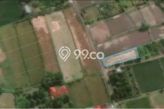 Tanah Premium di Buleleng, Luas 400m², Ideal untuk Investasi Tanah Premium di Buleleng, Luas 400m², Ideal untuk Investasi