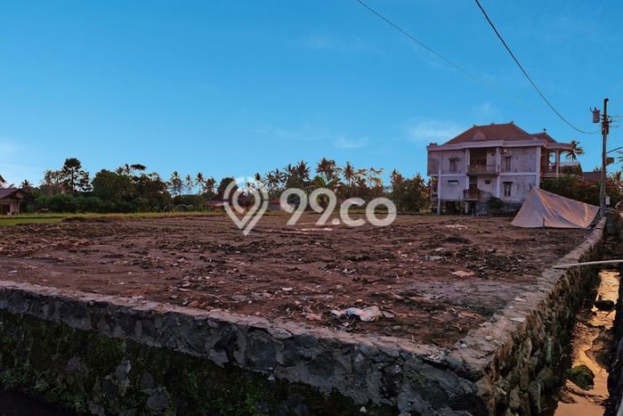 Tanah Kosong Dijual di Sleman dengan Area 253m2 Tanah Kosong Dijual di Sleman dengan Area 253m2