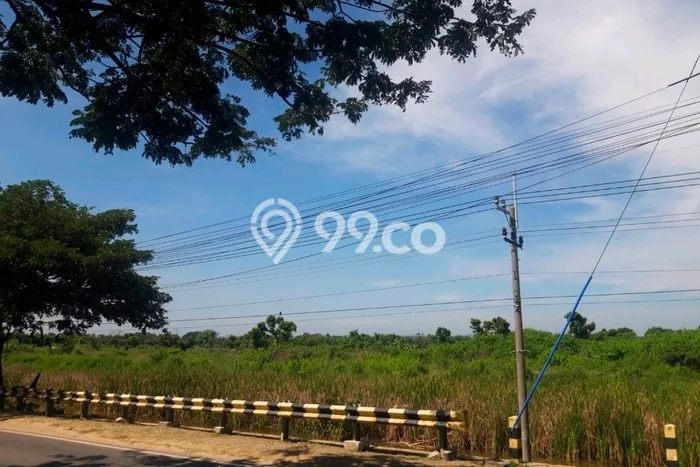 Tanah Kavling untuk Dijual di Bancar Tuban 90000m2 Tanah Kavling untuk Dijual di Bancar Tuban 90000m2
