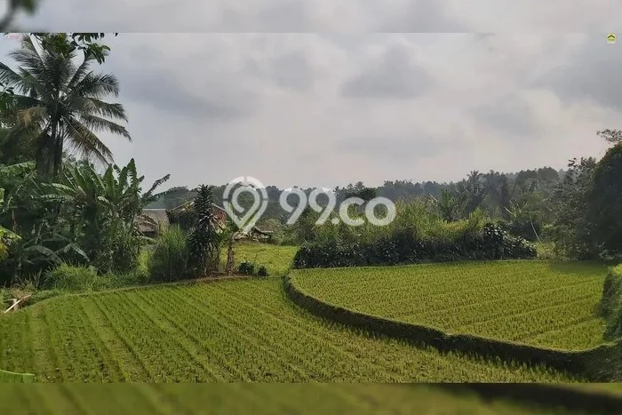Tanah Dijual Area Strategis di Purwakarta Kota Purwakarta 16000m2 Tanah Dijual Area Strategis di Purwakarta Kota Purwakarta 16000m2