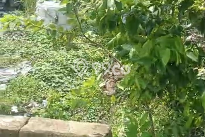 Lahan Kosong Dijual di Menganti, Gresik, Luas 108m2 Area Strategis Lahan Kosong Dijual di Menganti, Gresik, Luas 108m2 Area Strategis