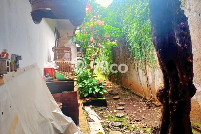 Jual Rumah Mewah Megah Dengan View Cantik di Kayu Putih, Jakarta Timur Jual Rumah Mewah Megah Dengan View Cantik di Kayu Putih, Jakarta Timur