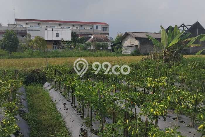 Tanah di Ngaglik, Luas 855m2m², Area Potensial, Kawasan Nyaman Tanah di Ngaglik, Luas 855m2m², Area Potensial, Kawasan Nyaman
