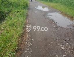 Kavling Tanah Dijual di Godean Sleman Spesifikasi 1338m2 Kavling Tanah Dijual di Godean Sleman Spesifikasi 1338m2