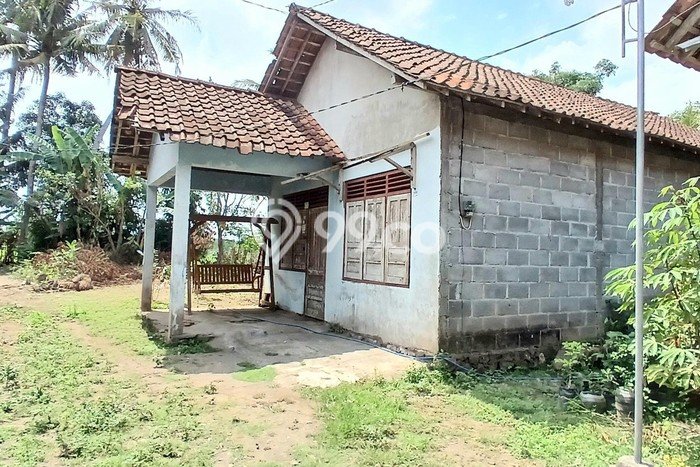 HARGA MENARIK! Tanah Kawasan Mlati, Luas 620m2m², Lokasi Potensial, Bebas Banjir HARGA MENARIK! Tanah Kawasan Mlati, Luas 620m2m², Lokasi Potensial, Bebas Banjir