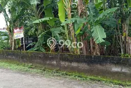 Tanah Investasi Disewakan di Kasihan, Bantul, Luas 295m2 Tanah Investasi Disewakan di Kasihan, Bantul, Luas 295m2