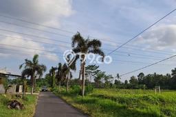 Lahan Kosong Dijual di Sleman dengan Area 774m2 Lahan Kosong Dijual di Sleman dengan Area 774m2