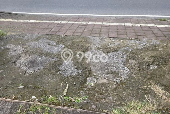 Jarang Ada! Tanah Kavling Disewakan di Badung 1000m2 Jarang Ada! Tanah Kavling Disewakan di Badung 1000m2