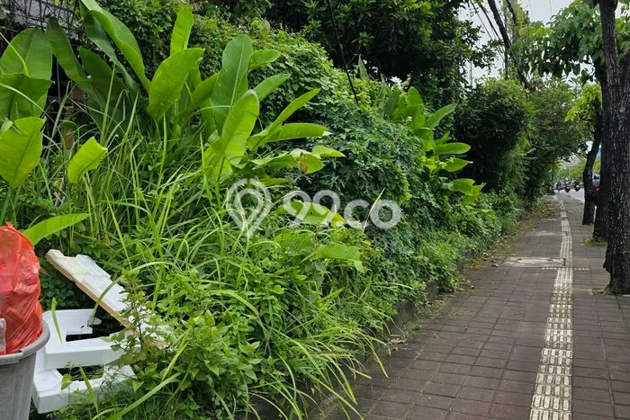 Lahan untuk Disewa di Badung Luas 1000m2 Lahan untuk Disewa di Badung Luas 1000m2