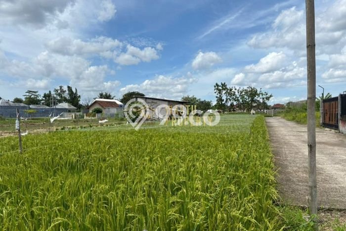 Untuk Dijual Tanah di Yogyakarta, Luas 126m2 SHM Untuk Dijual Tanah di Yogyakarta, Luas 126m2 SHM