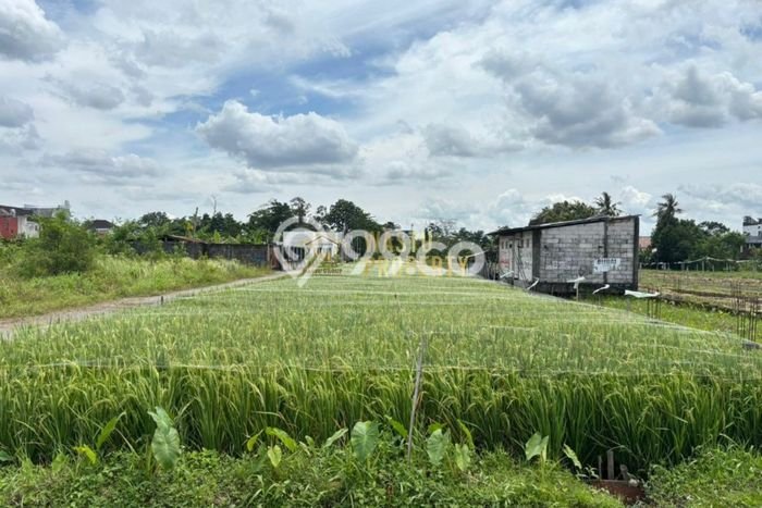 Untuk Dijual Tanah di Yogyakarta, Luas 126m2 SHM Untuk Dijual Tanah di Yogyakarta, Luas 126m2 SHM