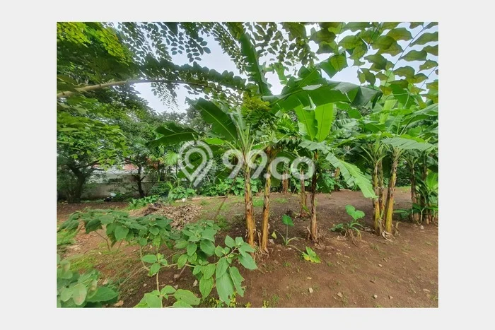 Kavling Tanah untuk Dijual di Rangkapanjaya, Depok, Luas 2600m2 Kavling Tanah untuk Dijual di Rangkapanjaya, Depok, Luas 2600m2