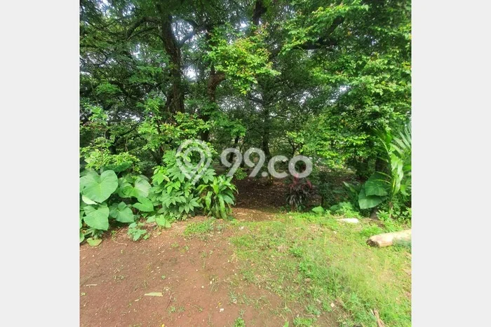 Tanah Kavling Dijual di Depok dengan Spesifikasi 2600m2 Tanah Kavling Dijual di Depok dengan Spesifikasi 2600m2