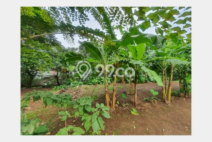 Tanah Dijual di Depok Seluas 2600m2 Strategis Tanah Dijual di Depok Seluas 2600m2 Strategis