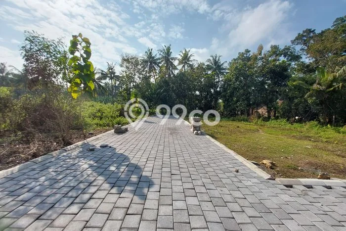 Tanah Kavling Dijual di Kulon Progo dengan Spesifikasi 126m2 Tanah Kavling Dijual di Kulon Progo dengan Spesifikasi 126m2