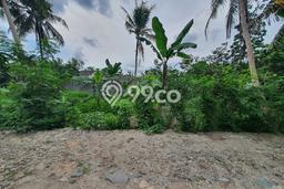 Tanah Komersial Dijual di Sedayu Bantul 159m2 Tanah Komersial Dijual di Sedayu Bantul 159m2