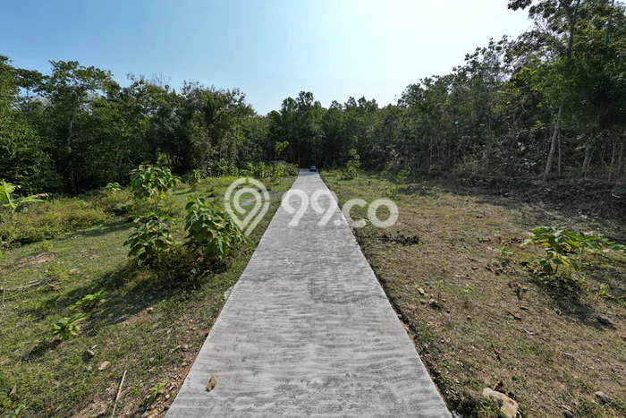 Hunian Murah Dijual Area Wates, Kulon Progo Harga Rp 380 Juta Hunian Murah Dijual Area Wates, Kulon Progo Harga Rp 380 Juta