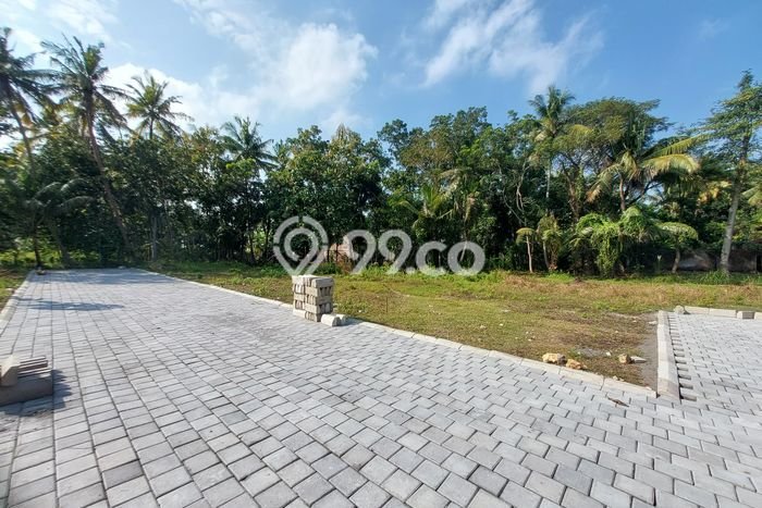 Kavling Tanah di Pengasih Dijual Luas 105m2 Legalitas SHM Kavling Tanah di Pengasih Dijual Luas 105m2 Legalitas SHM
