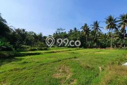 Kavling Tanah Dijual di Nanggulan Kulon Progo Spesifikasi 105m2 Kavling Tanah Dijual di Nanggulan Kulon Progo Spesifikasi 105m2