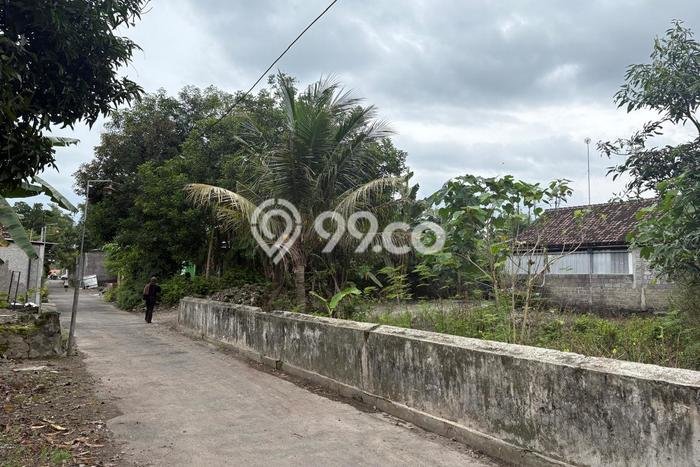 Lahan Investasi Lokasi Prambanan Sleman SHM Lahan Investasi Lokasi Prambanan Sleman SHM