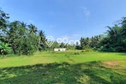 Untuk Dijual Tanah di Nanggulan Kulon Progo Luas 136m2 SHM Untuk Dijual Tanah di Nanggulan Kulon Progo Luas 136m2 SHM