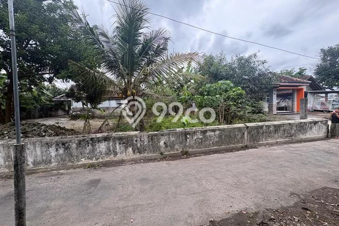 Lahan Investasi Lokasi Prambanan Sleman SHM Lahan Investasi Lokasi Prambanan Sleman SHM
