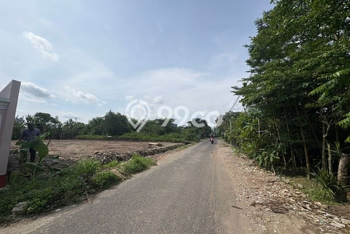 Kavling Tanah Dijual di Depok Sleman Spesifikasi 150m2 Kavling Tanah Dijual di Depok Sleman Spesifikasi 150m2