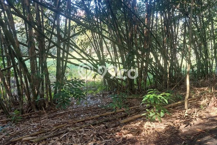 Tanah Dijual Lokasi Kasihan, Bantul dengan Luas Tanah 107m2 dan Status SHM Tanah Dijual Lokasi Kasihan, Bantul dengan Luas Tanah 107m2 dan Status SHM