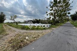 Tanah di Ngaglik, Sleman Luas 295m2 Dijual Segera Tanah di Ngaglik, Sleman Luas 295m2 Dijual Segera
