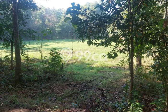 Lahan Kosong Dijual di Bantul dengan Area 117m2 Lahan Kosong Dijual di Bantul dengan Area 117m2