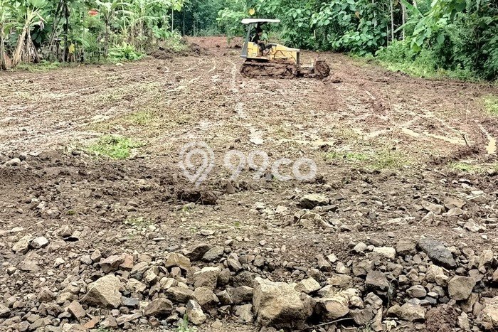 Tanah Kavling Dijual di Plered, Bantul dengan Luas Tanah 126m2 Tanah Kavling Dijual di Plered, Bantul dengan Luas Tanah 126m2