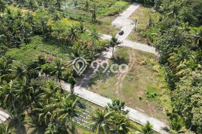 Kavling Tanah Dijual di Pengasih Kulon Progo Spesifikasi 105m2 Kavling Tanah Dijual di Pengasih Kulon Progo Spesifikasi 105m2