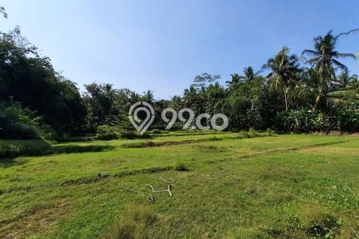 Tanah Kavling Dijual di Kulonprogo, Yogyakarta dengan Luas Tanah 106m2 Tanah Kavling Dijual di Kulonprogo, Yogyakarta dengan Luas Tanah 106m2