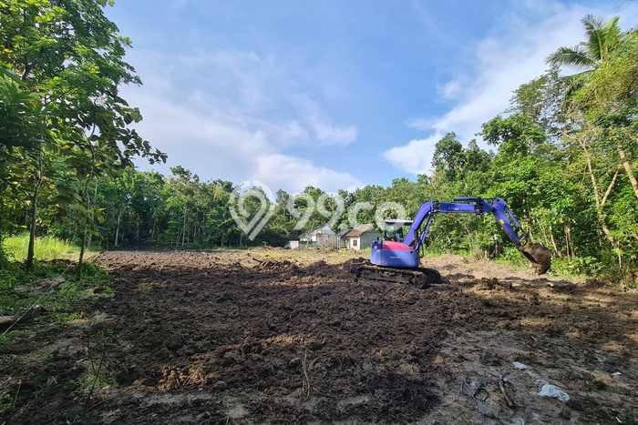 Tanah Strategis Dijual di Bantul Bantul 116m2 Tanah Strategis Dijual di Bantul Bantul 116m2