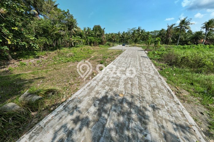 Lahan Strategis di Temon Dijual dengan Luas 160m2 Lahan Strategis di Temon Dijual dengan Luas 160m2